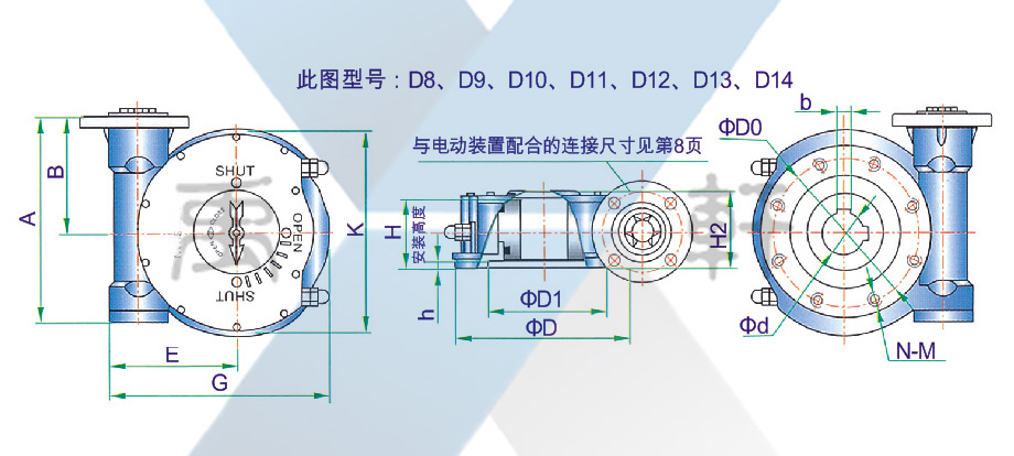 精准四肖八